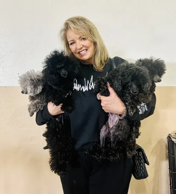 Jackie Barikhan holding four poodles at a dog show