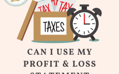 Can I Use My Profit & Loss Statement Instead of a W-2?